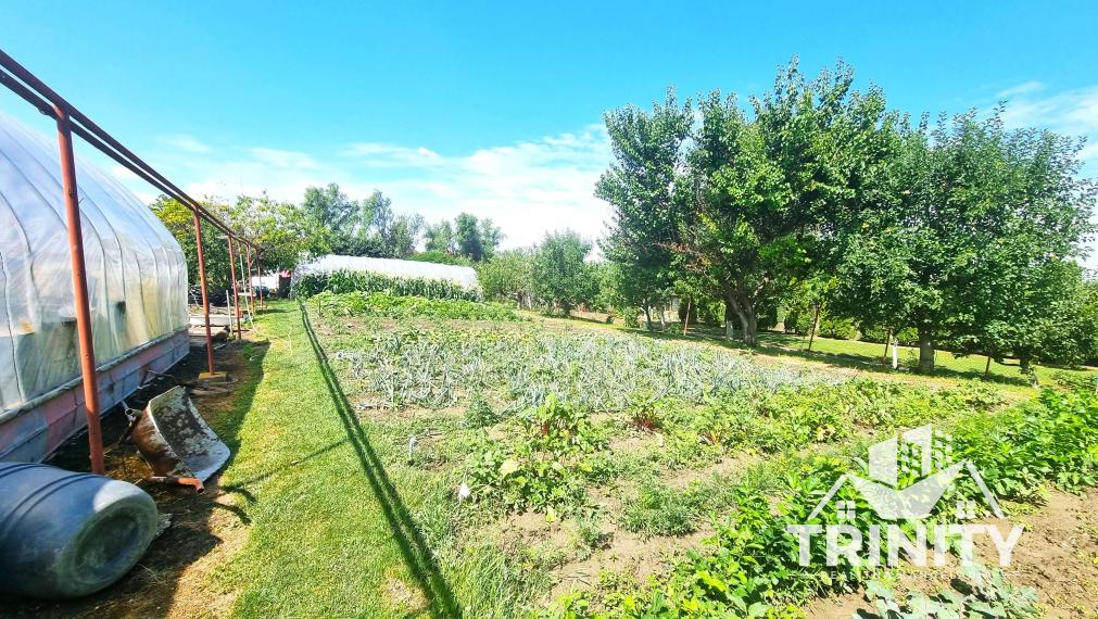 Predaj slnečného a priestranného 4-izbového rodinného domu v meste Kolárovo