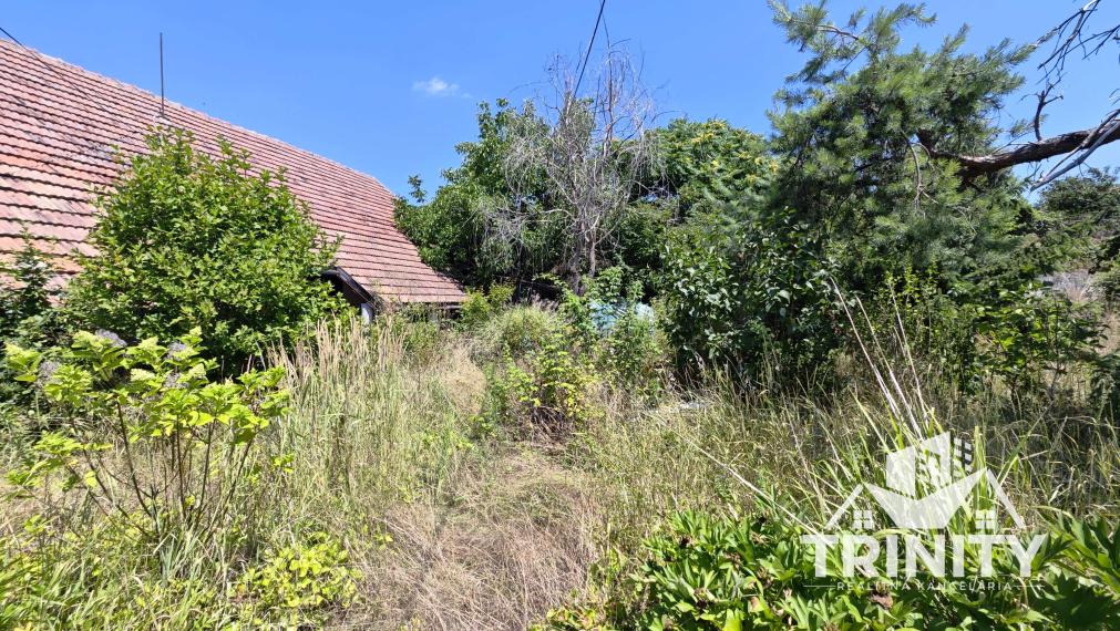 Na predaj Rodinný dom (vidiecky) v obci Svätý Peter