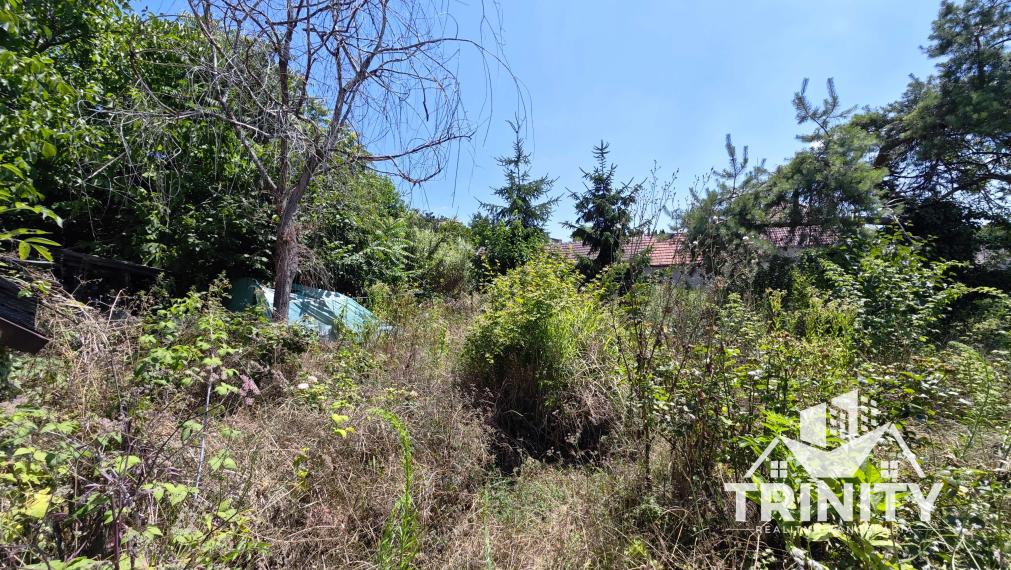 Na predaj Rodinný dom (vidiecky) v obci Svätý Peter