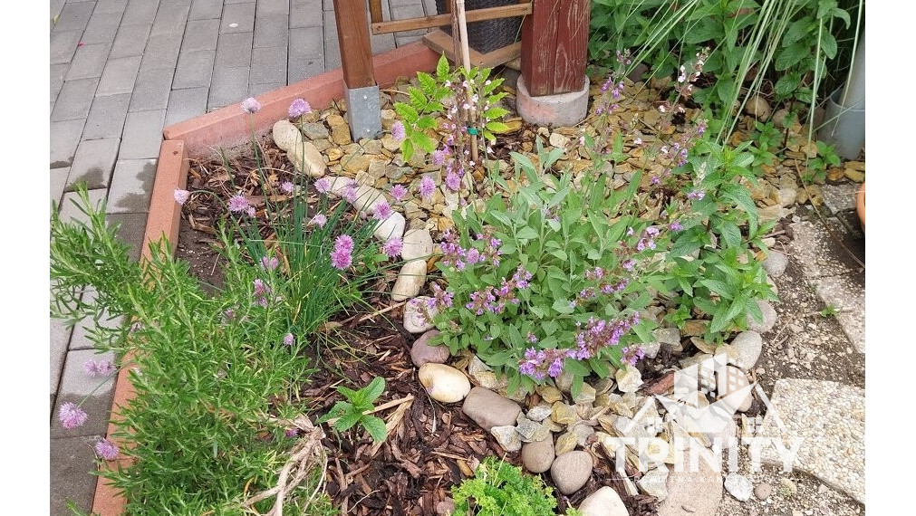 Na predaj moderný 3-izbový rodinný dom v meste Nové Zámky