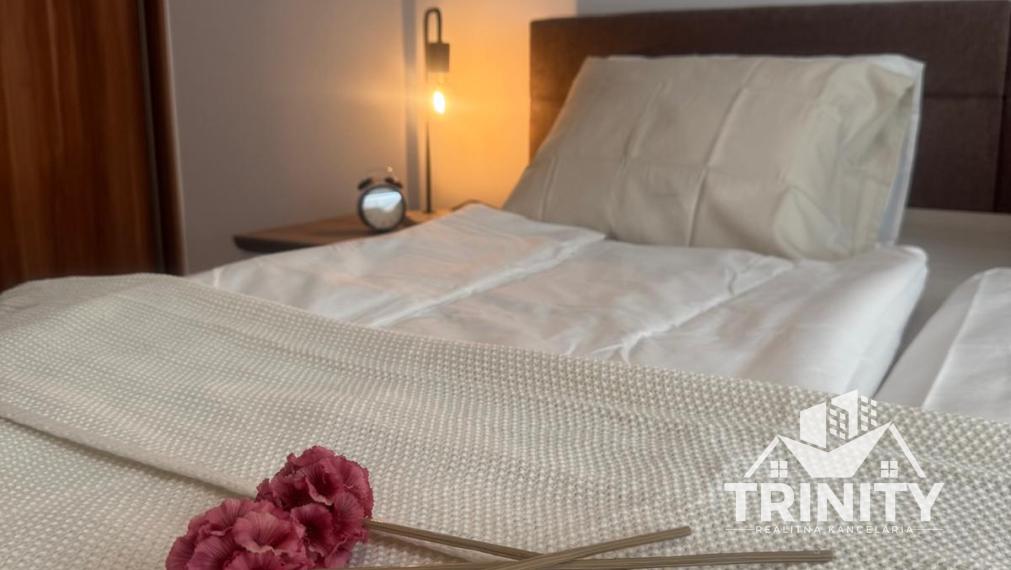 Na prenájom 1-izbový byt na sídlisku MDŽ v meste Šurany