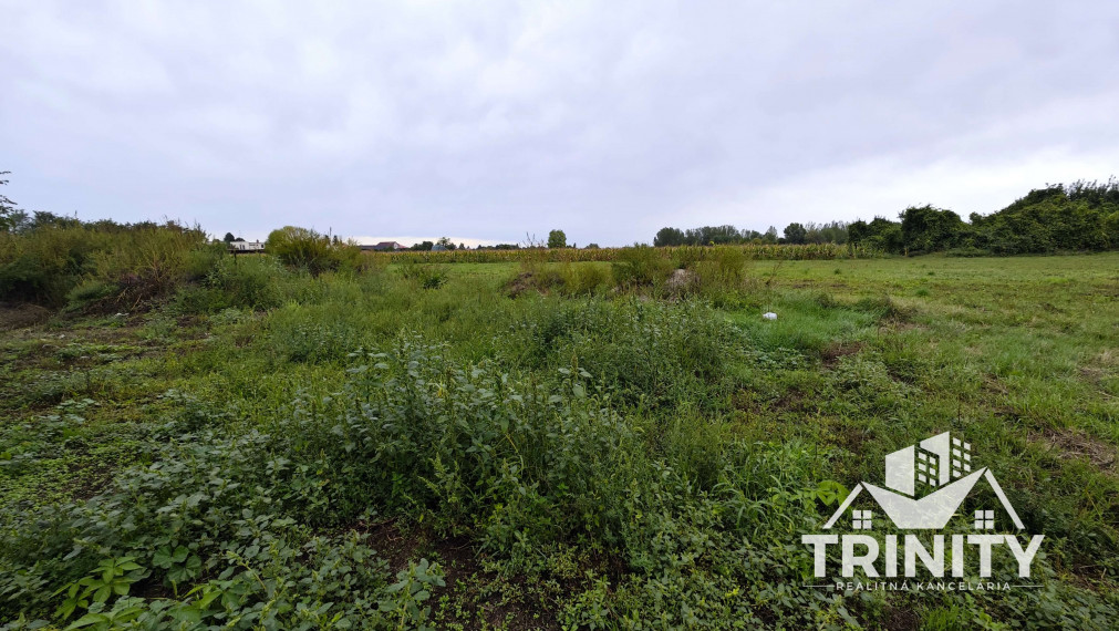 Na predaj novostavba 4-izbového rodinného domu v Nesvadoch