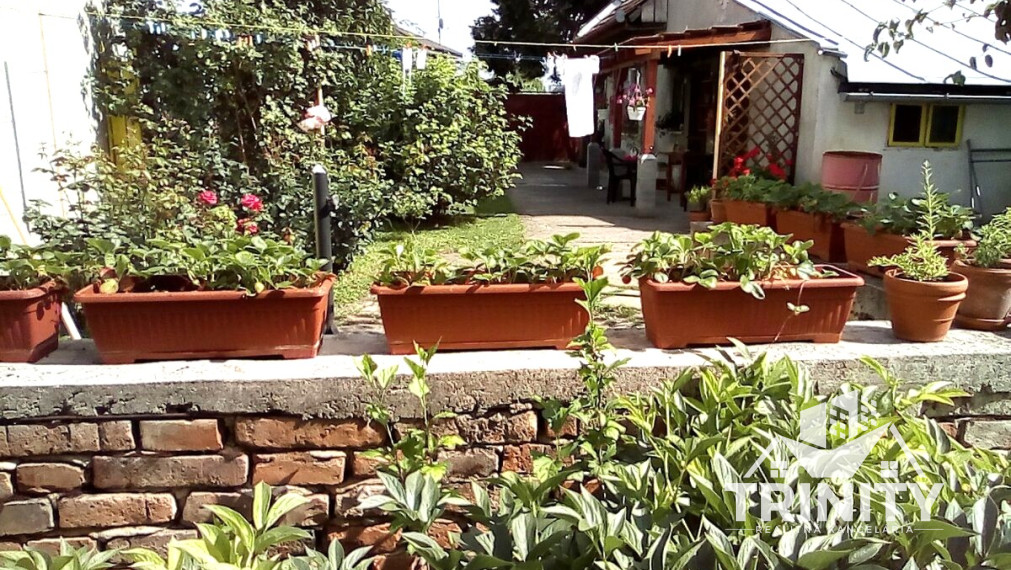 Na predaj starší rodinný dom s terasou a garážou v meste Nové Zámky