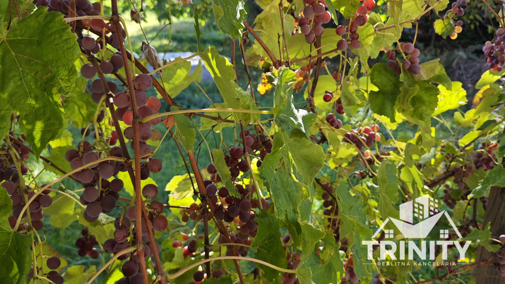 Na predaj Podlažný rodinný dom / Penzión v obci Radava
