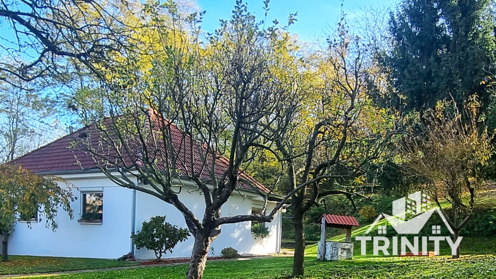 Na predaj 3-izbový rodinný dom v obci Semerovo