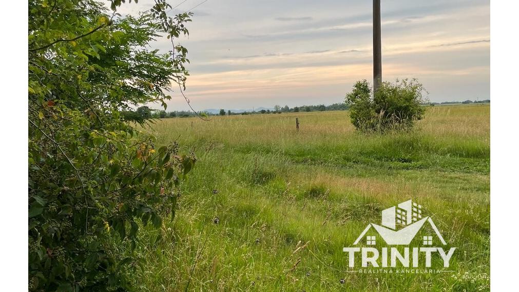 Na predaj pozemky s chatkou medzi mestom Šurany a Palárikovo