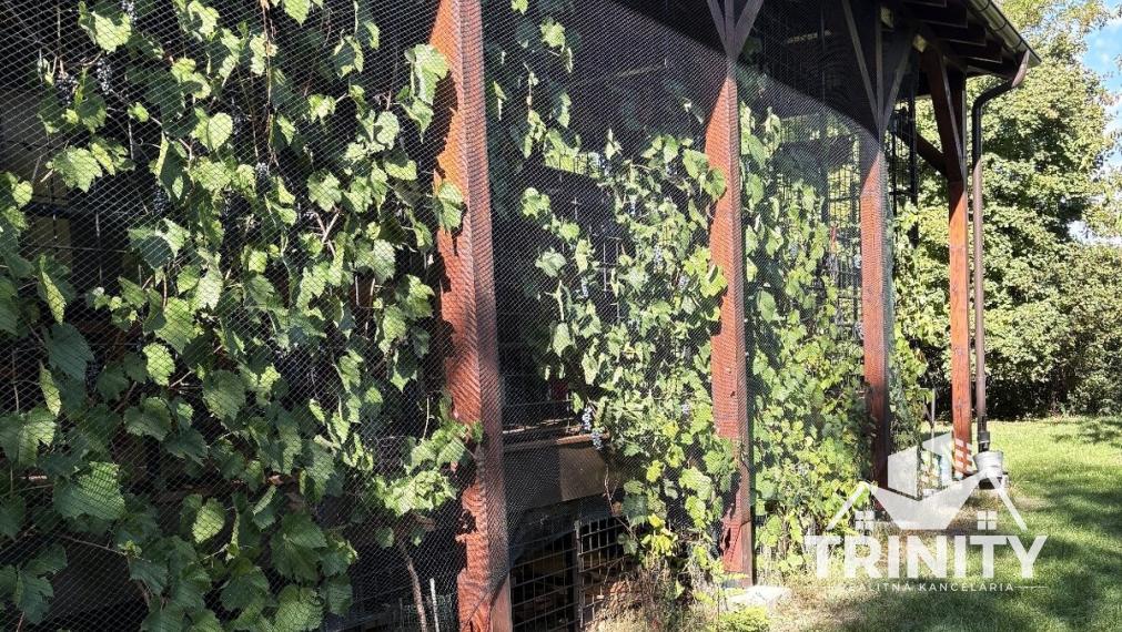 Na predaj pozemky s chatkou medzi mestom Šurany a Palárikovo