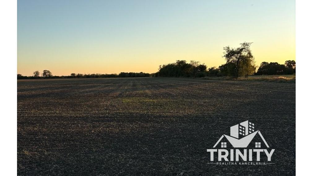 Na predaj pozemky s chatkou medzi mestom Šurany a Palárikovo