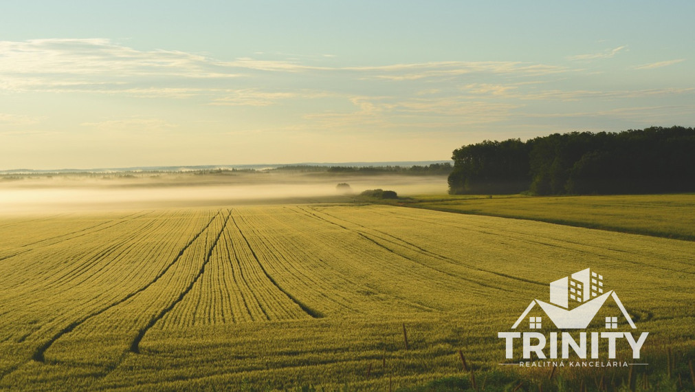 Na predaj orná pôda medzi Mojzesovom a Černíkom