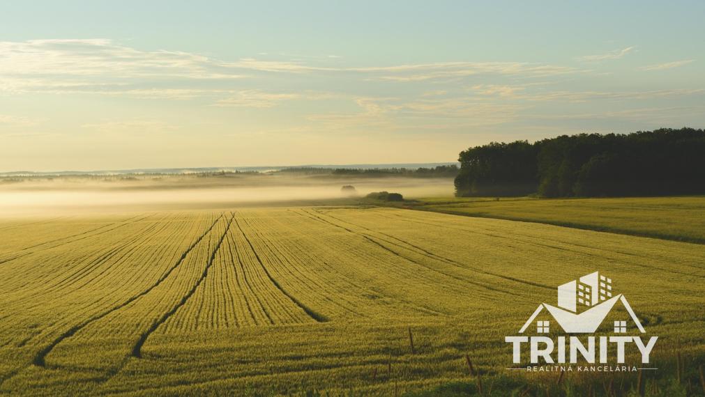 Na predaj stavebný pozemok v Nových Zámkoch