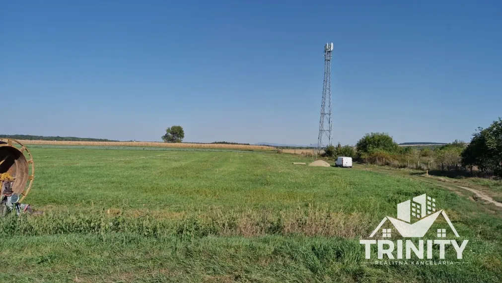 Na predaj rozsiahly pozemok v obci Mojzesovo