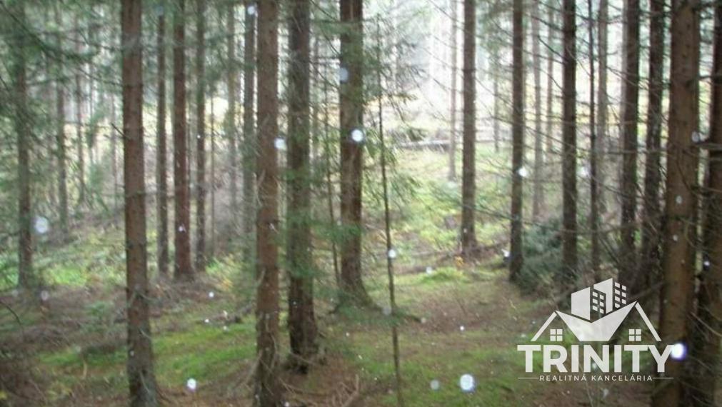 Na predaj investičný stavebný pozemok - Tatranská Štrba - Lieskovec
