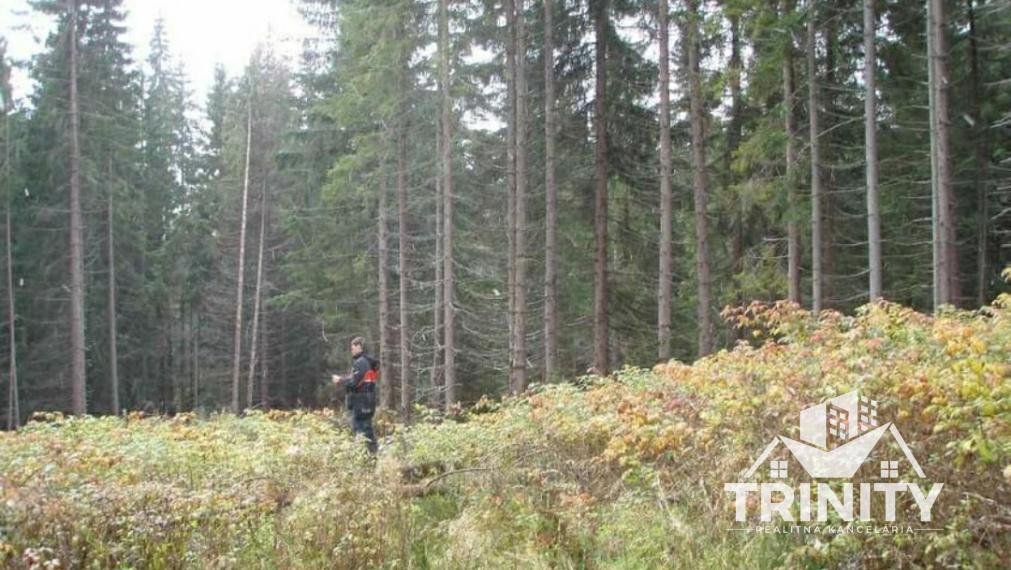 Na predaj investičný stavebný pozemok - Tatranská Štrba - Lieskovec
