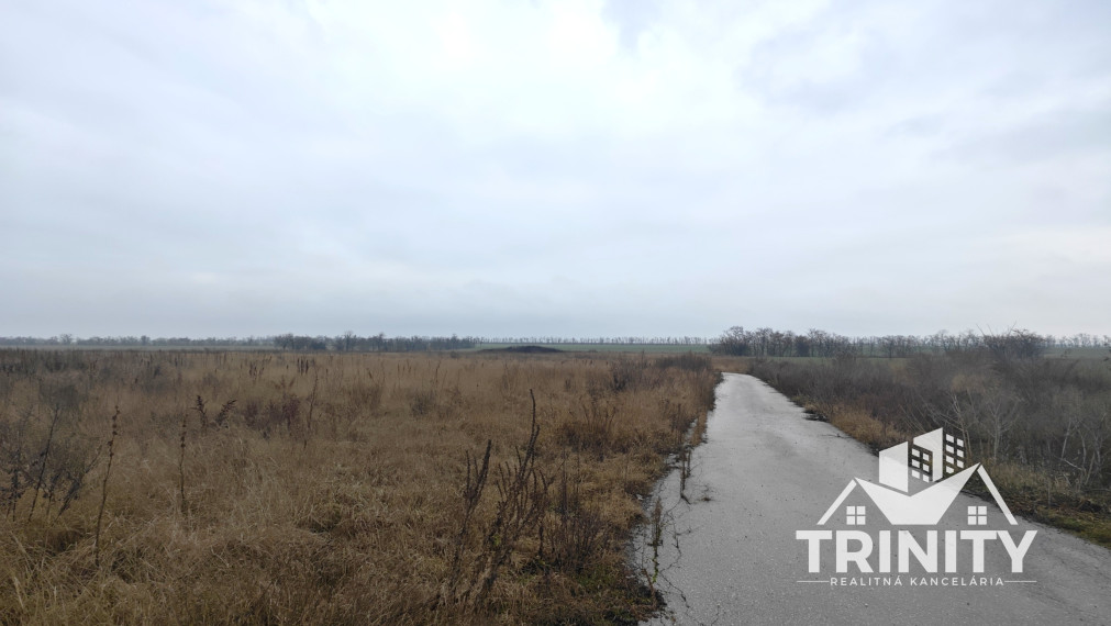 IBA U NAS - Na predaj stavebný INVESTIČNÝ POZEMOK pri obci Močenok