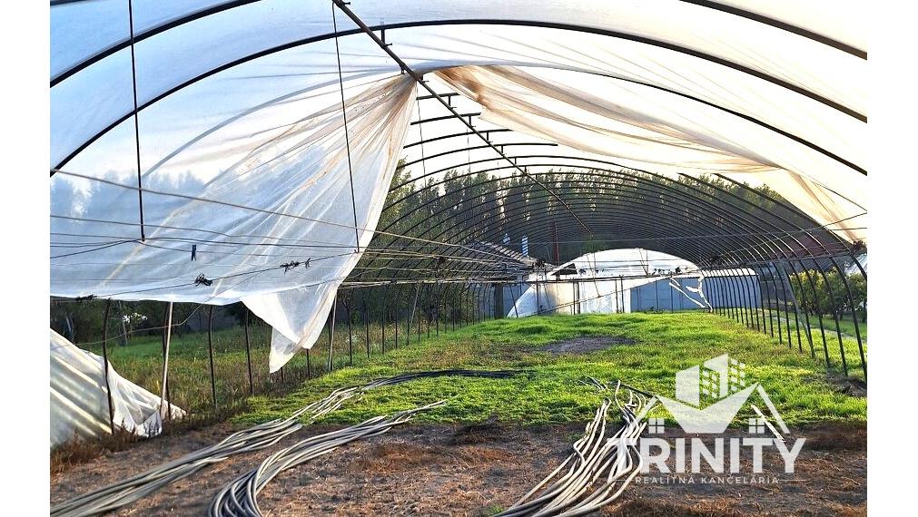 Na predaj veľký stavebný pozemok v obci Imeľ