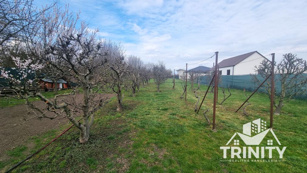 Exkluzívne - Na predaj slnečný stavebný pozemok v meste Šurany - časť Kostolný Sek