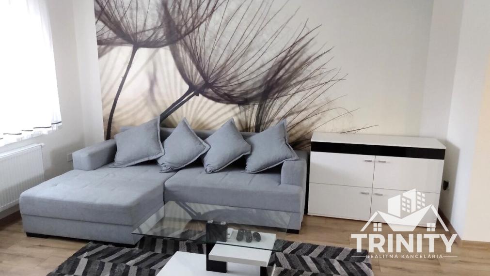 Na prenájom zariadený 2-izbový byt v Palárikove