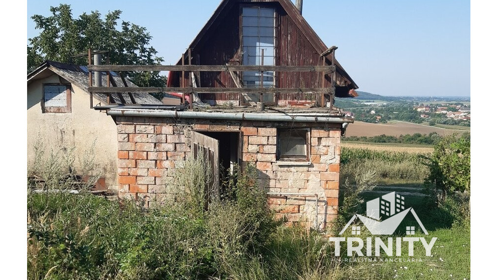 Na predaj vinica s murovaným viničným domčekom – Belek, Podhájska