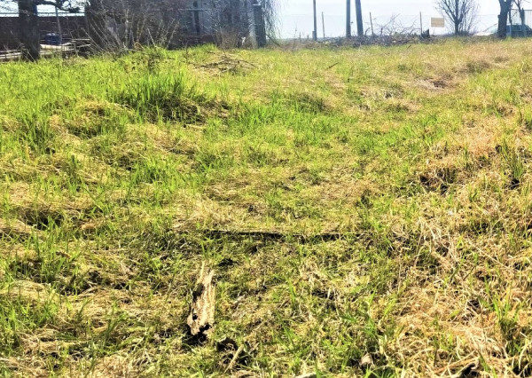 NA PREDAJ stavebný pozemok v obci Dvory nad Žitavou