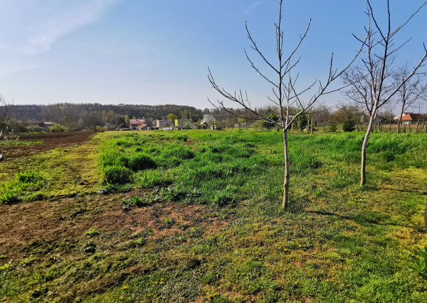 Na predaj veľký stavebný pozemok v obci Branovo