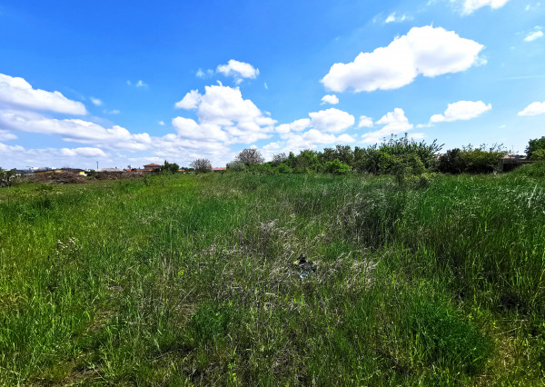 Na predaj stavebný pozemok v Nových Zámkoch