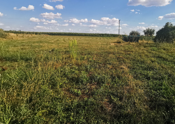 Na predaj  slnečný stavebný pozemok v obci Rastislavice