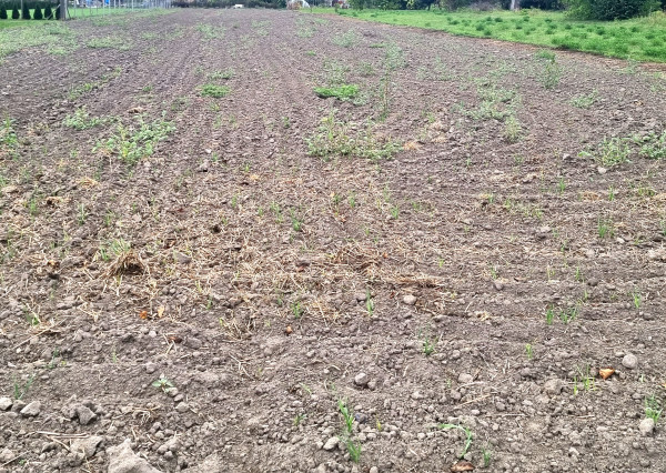 Na predaj stavebný pozemok v obci Kameničná