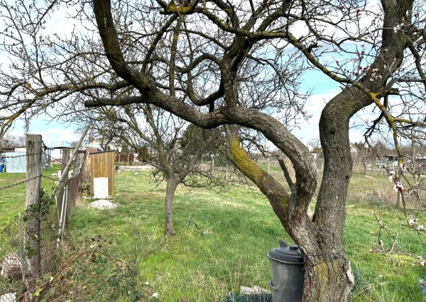 Na predaj záhrada v meste v Nové Zámky