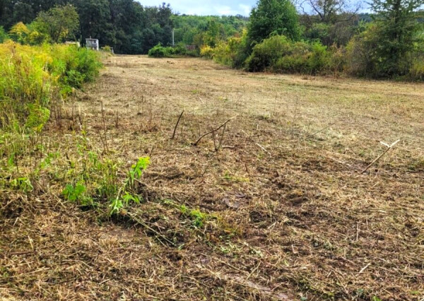 Na predaj stavebný pozemok v obci Podhájska nad kúpaliskom
