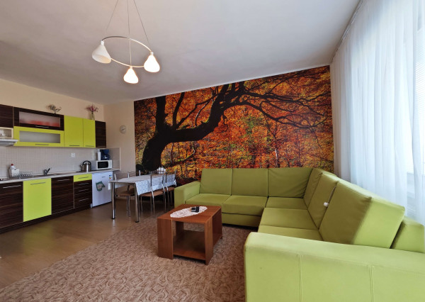 Rezervovaný - Na predaj zariadený apartmán v obci Podhájska