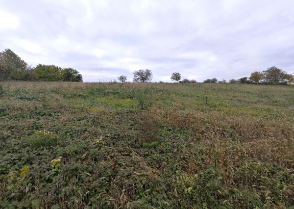 Na predaj priemyselný / komerčný pozemok v obci Komjatice