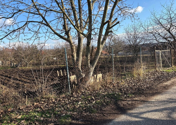 Na predaj stavebný pozemok v obci Jasová