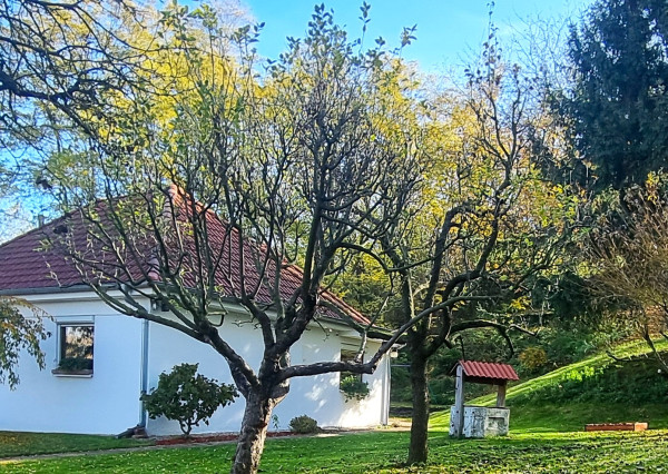 Na predaj 3-izbový rodinný dom v obci Semerovo