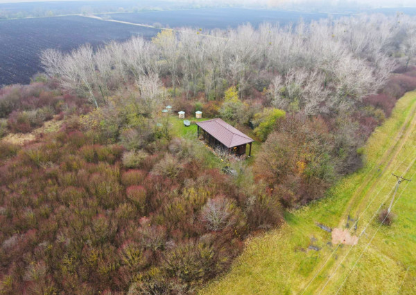 Na predaj pozemky s chatkou medzi mestom Šurany a Palárikovo