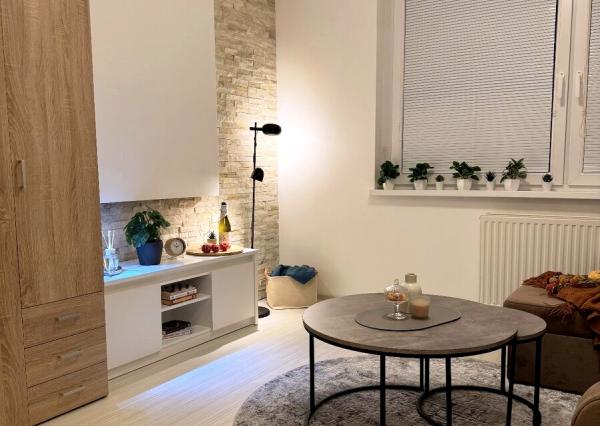 Na prenájom krásna zariadená garsónka v Nových Zamkoch