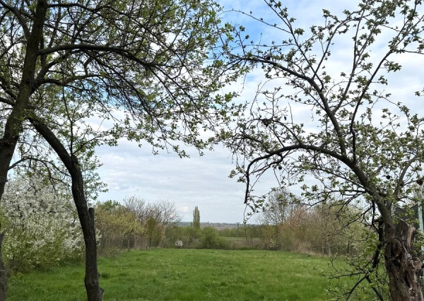 Iba u Nás -Na predaj veľký stavebný pozemok v obci Maňa