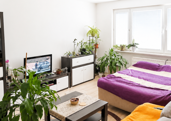 Na prenájom 2-izbový byt s balkónom na MDŽ v Šuranoch