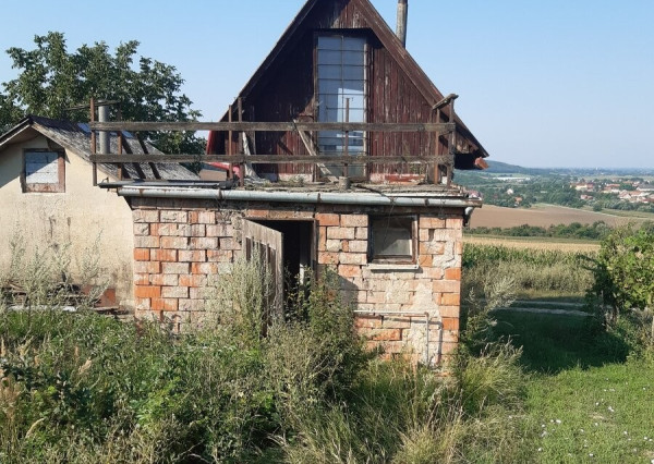 Na predaj vinica s murovaným viničným domčekom – Belek, Podhájska