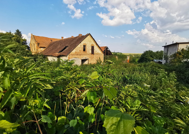 Znížená cena - Na predaj stavebný pozemok v obci Trávnica