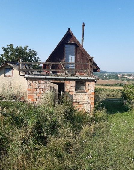 Na predaj vinica s murovaným viničným domčekom – Belek, Podhájska